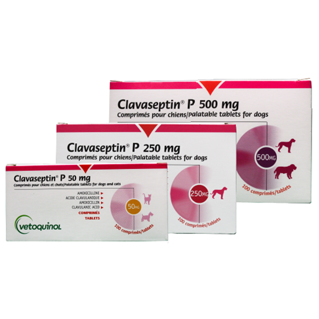Clavaseptin P - Vetoquinol Clavaseptin P - Vetoquinol